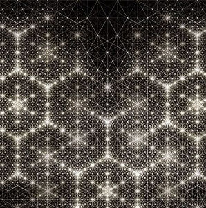 Meet your Posher, Rocco